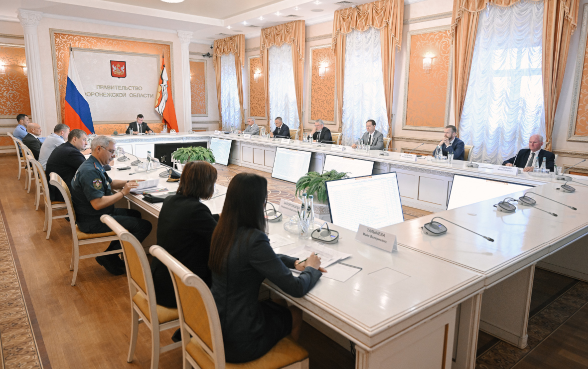 Фото: пресс-служба правительства Воронежской области