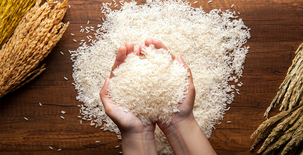 «АФГ Националь» экспортирует рис в Иорданию при поддержке Россельхозбанка