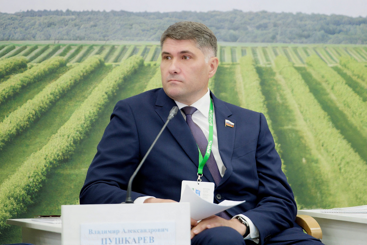 Владимир Пушкарев, Комитет по аграрно-продовольственной политике и природопользованию Совета Федерации