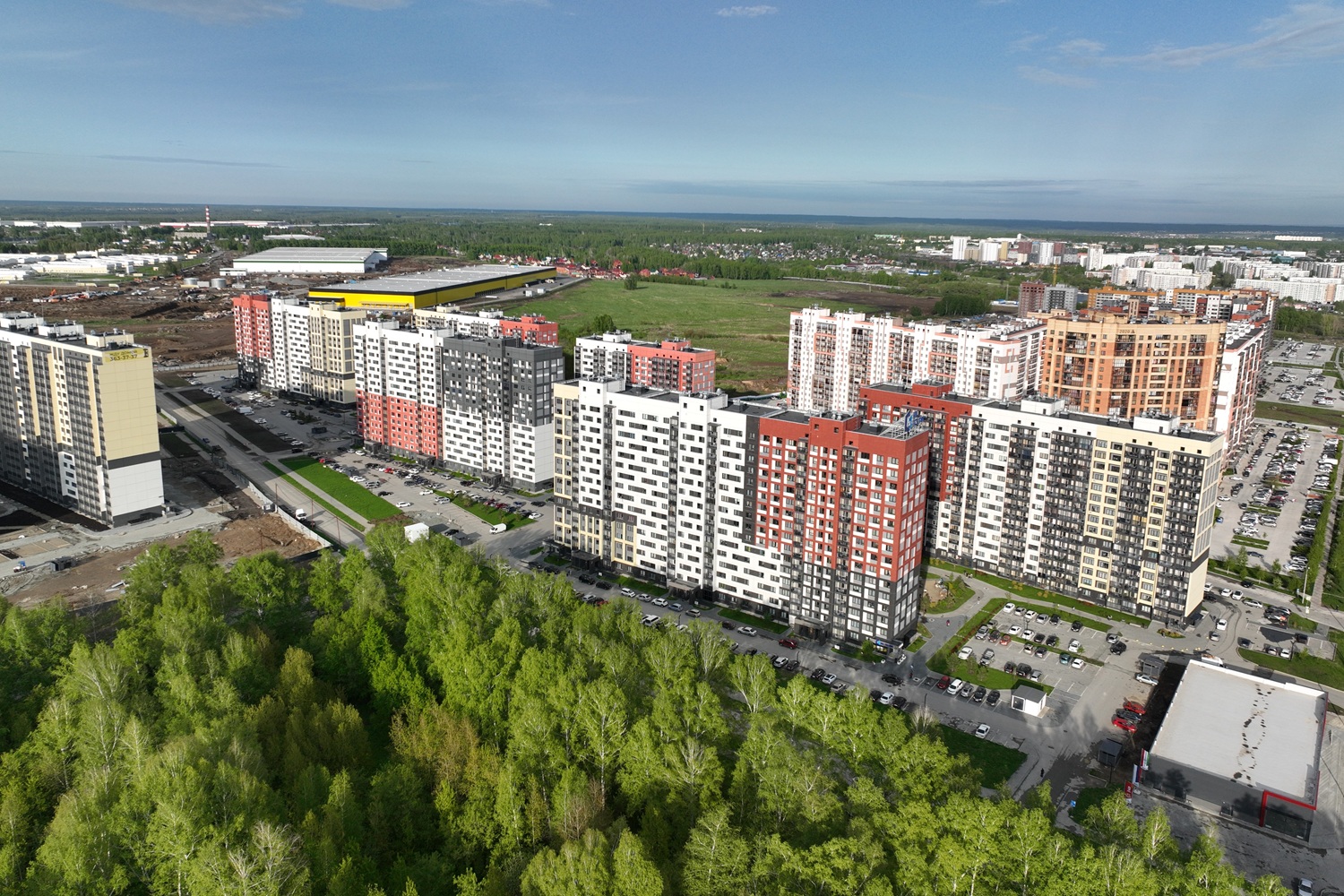 Душевный район Околица с березовой рощей