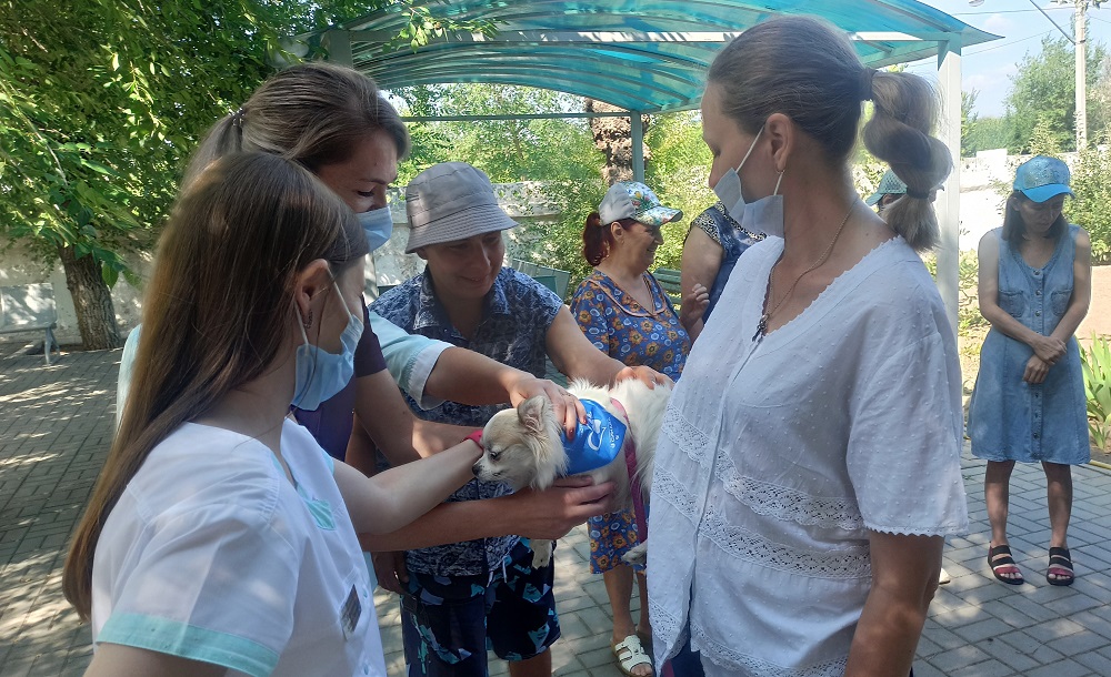 В Волжском и Таганроге появились сертифицированные волонтеры канистерапии