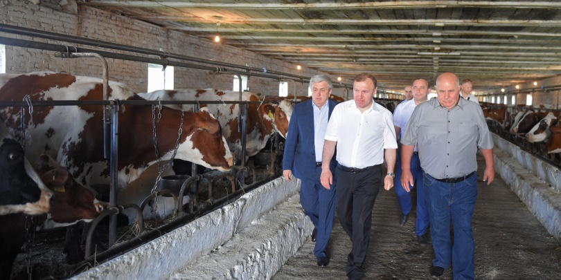 Врио Главы Адыгеи поручил усилить поддержку животноводческих хозяйств