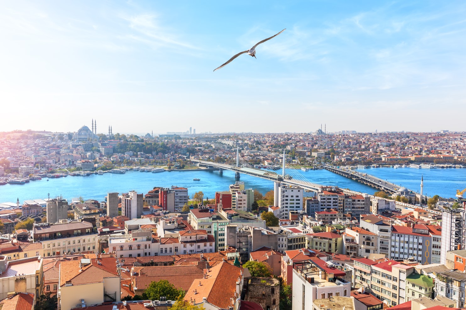 Как стать девелопером и совладельцем объектов на турецком Средиземноморье