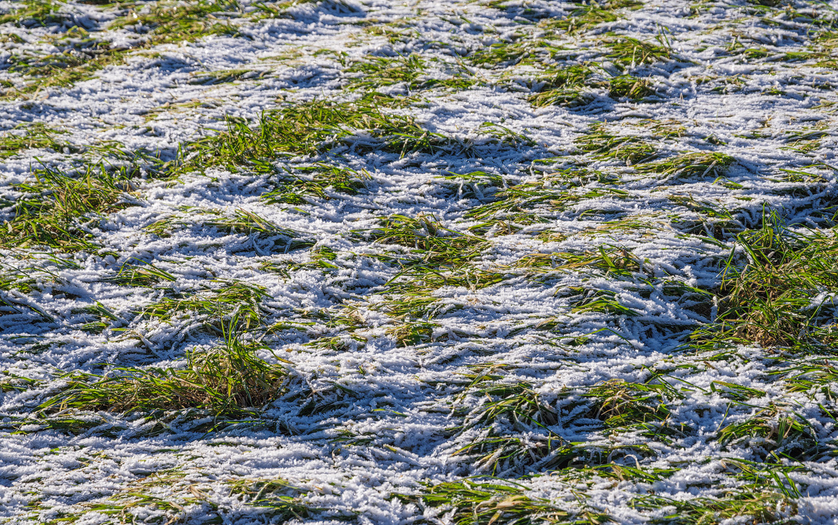 Фото: пресс-служба ГК «Продимекс»