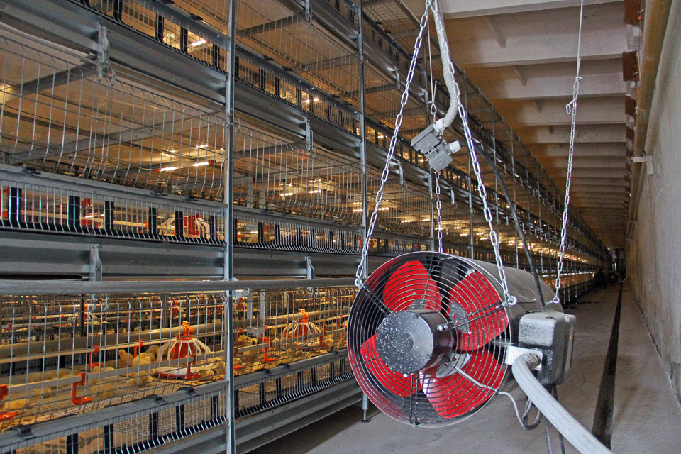 Чтобы цыплята росли в комфортных условиях, установлена система вентиляции помещений