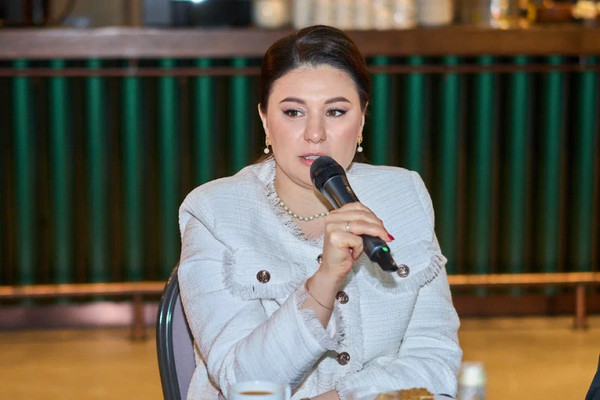 Талия Минуллина, Агентство инвестиционного развития РТ