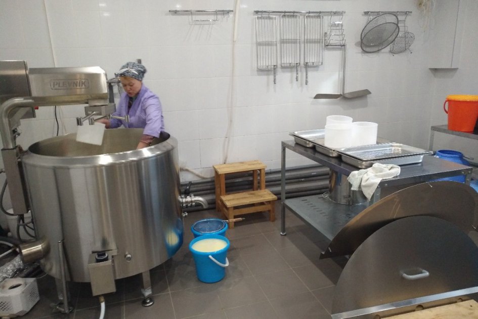 Уфимский бизнесмен открыл племенную ферму, чтобы делать крафтовый сыр  