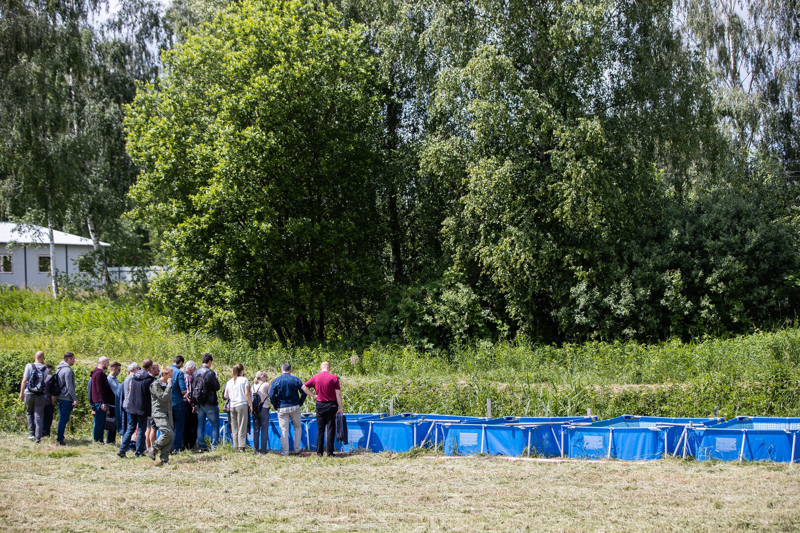 Как в Калининградской области выращивают рыбу