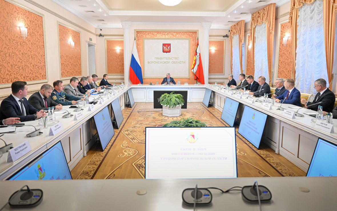 Фото: пресс-служба правительства Воронежской области
