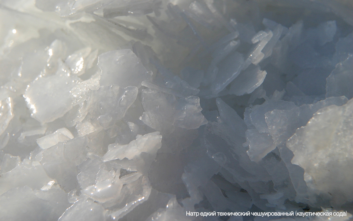 Продукция БСК — в «золотой» сотне лучших товаров России