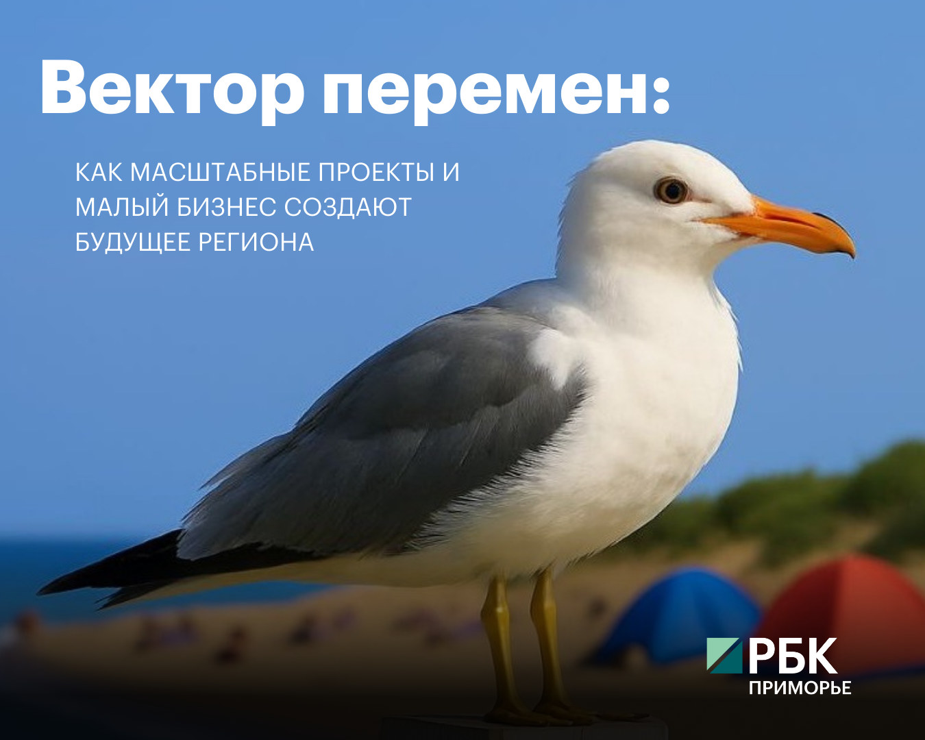 Фото: РБК Приморье
