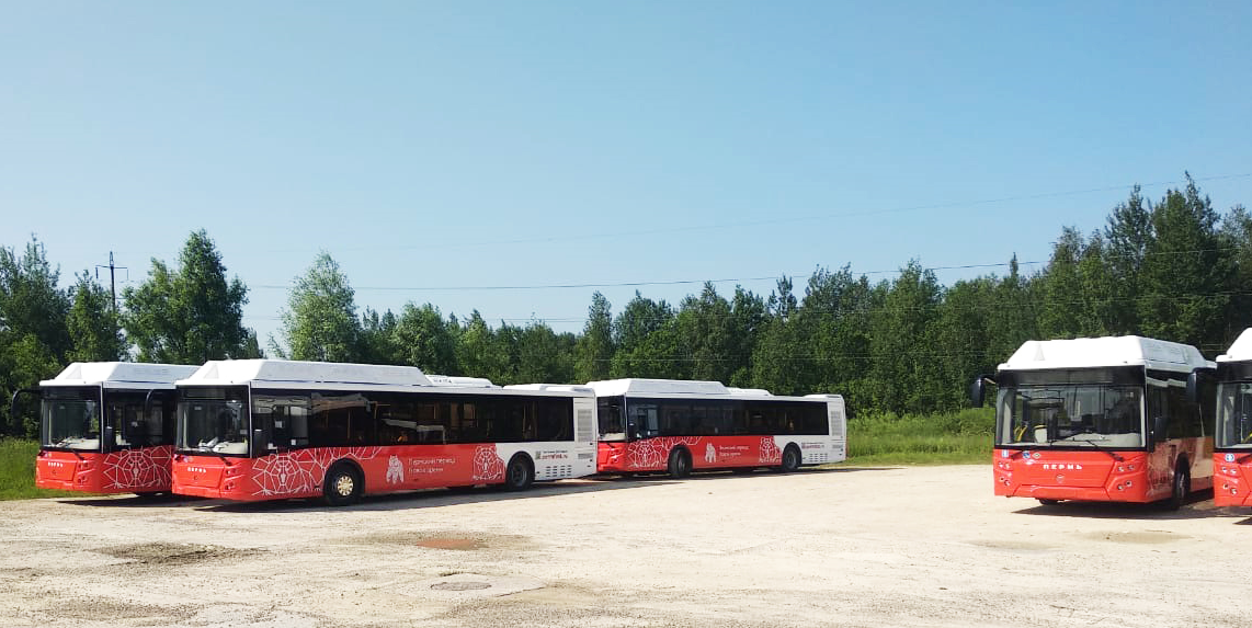 В Перми перевозчик начал приемку автобусов на компрированном газе
