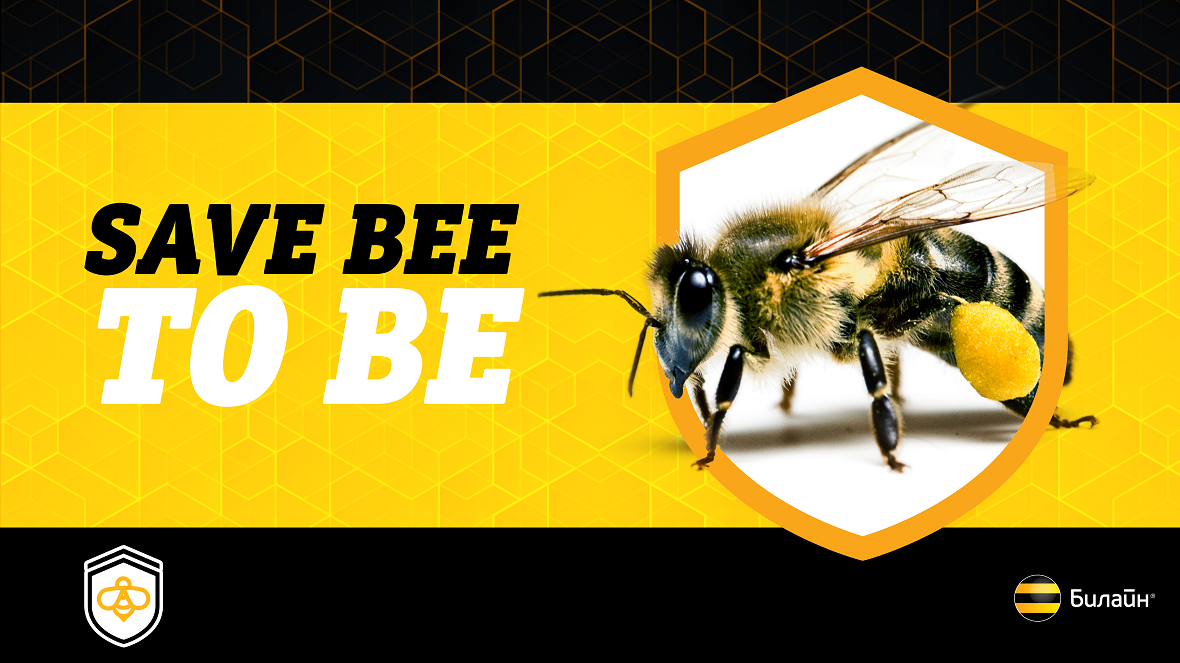 На Кубани Билайн поможет уберечь пчел от массовой гибели