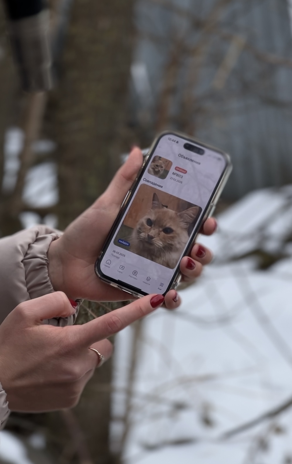 ИИ-сервис для поиска питомцев и офисная платформа «Р7» отмечены наградами