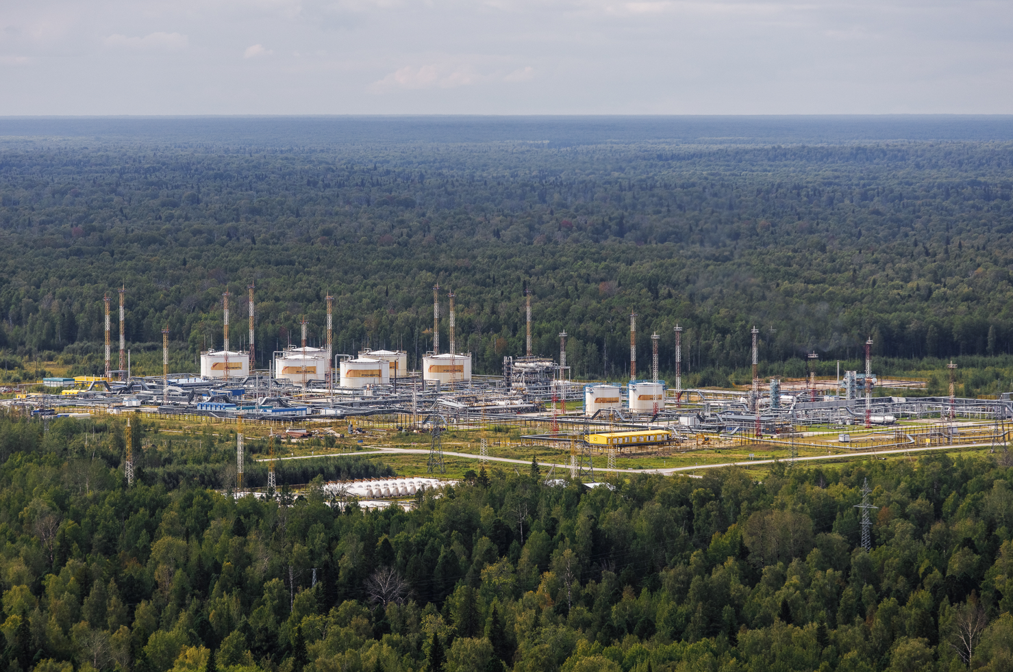 «Роснефть» направляет «зеленые» инвестиции на сохранение чистого воздуха