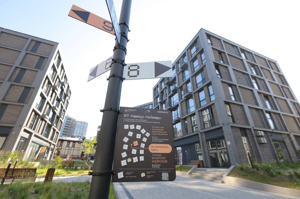 Разработан метод точной диагностики процессов принятия решений в мозге