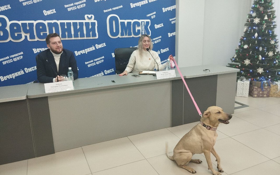 Фото: Вячеслав Кумпан