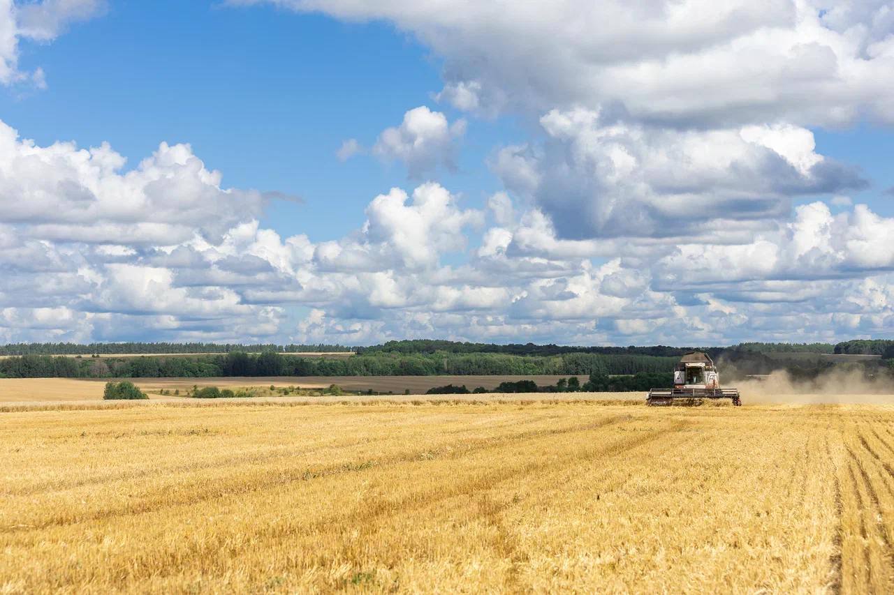 Рост нижегородского АПК обогнал промышленность и экономику региона 