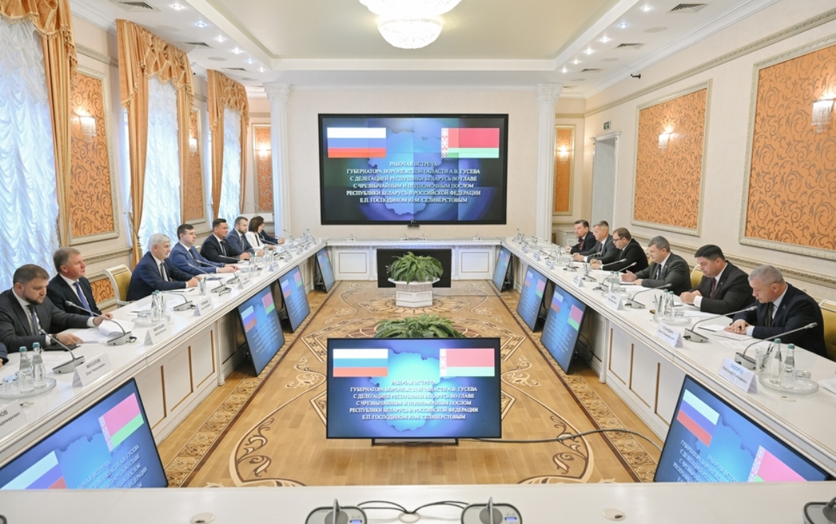 Фото: пресс-служба правительства Воронежской области