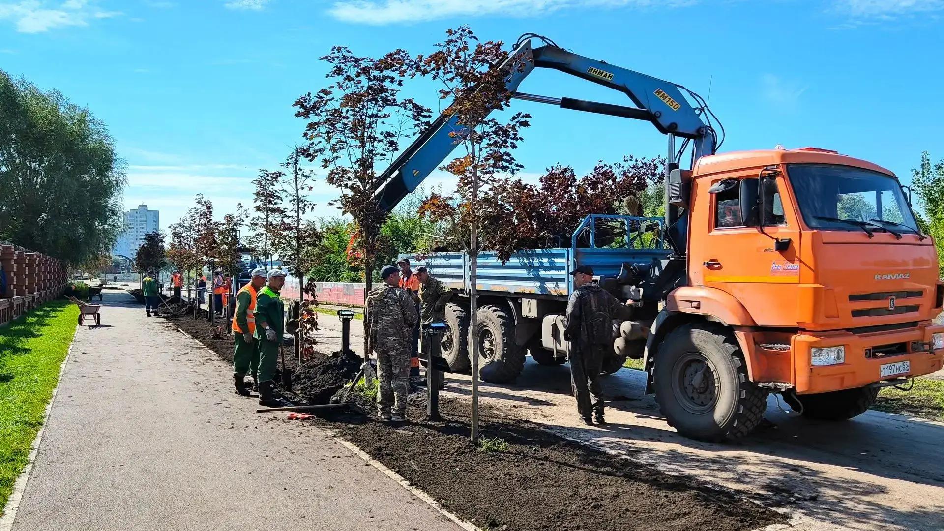 Фото: Управление пресс-службы правительства и губернатора Омской области