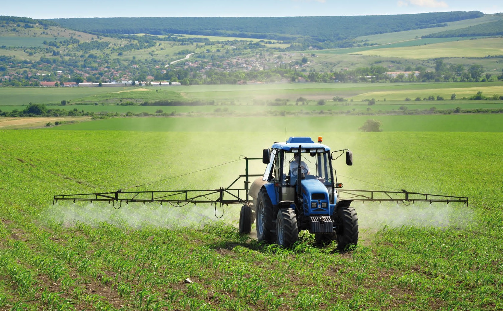 Россельхозбанк почти втрое увеличил выдачи льготных кредитов агробизнесу 
