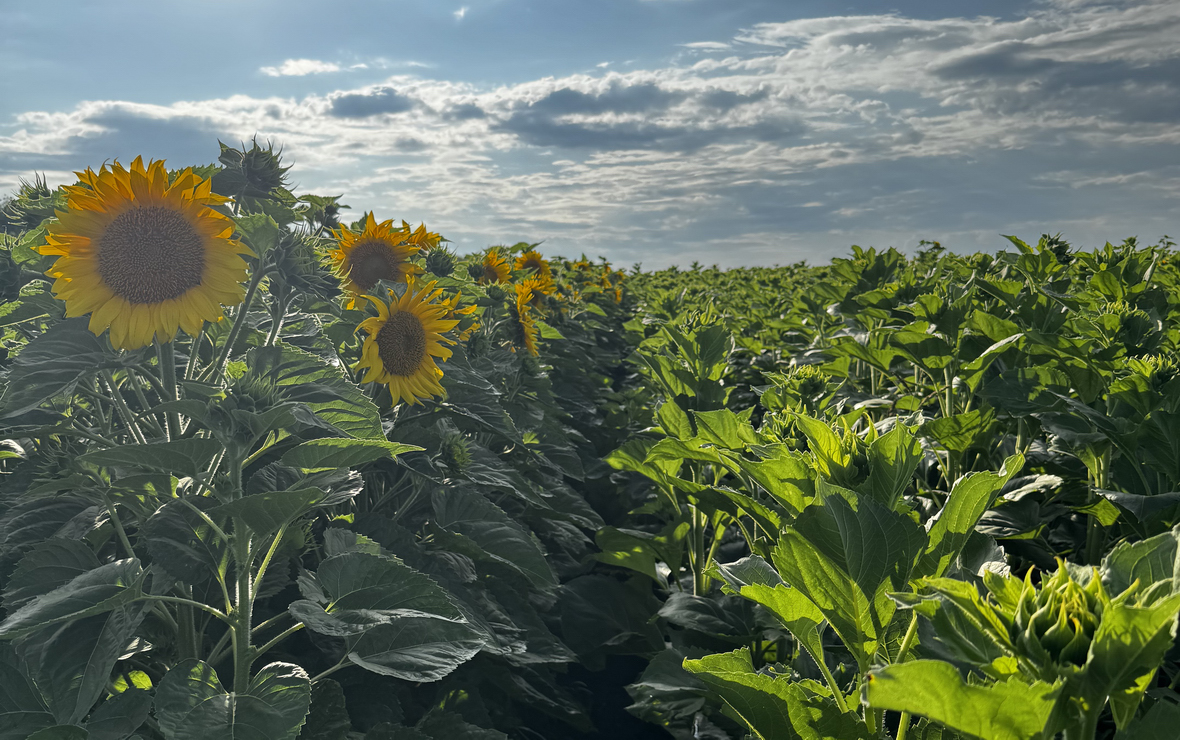 Фото: пресс-служба компании «Генезис»