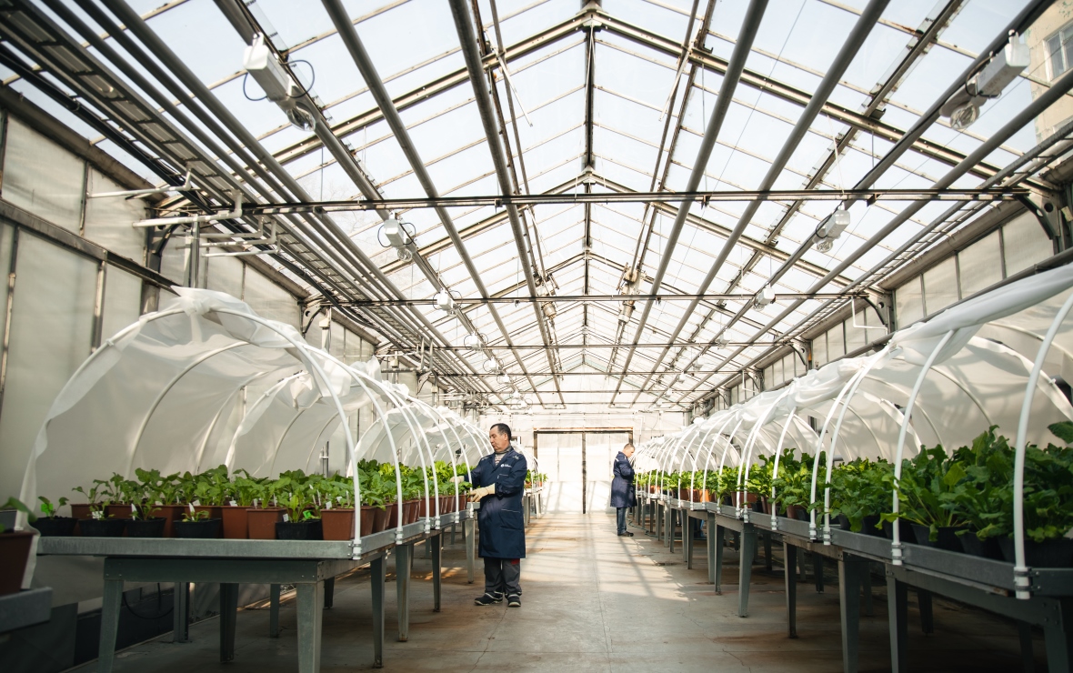 Фото: пресс-служба «СоюзСемСвекла»