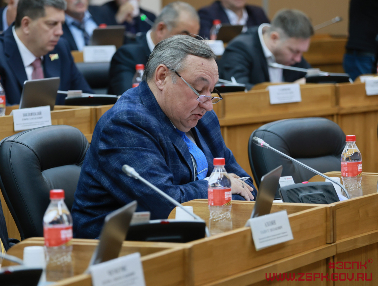 В Приморье ввели запрет на прикорм бездомных собак в общественных местах