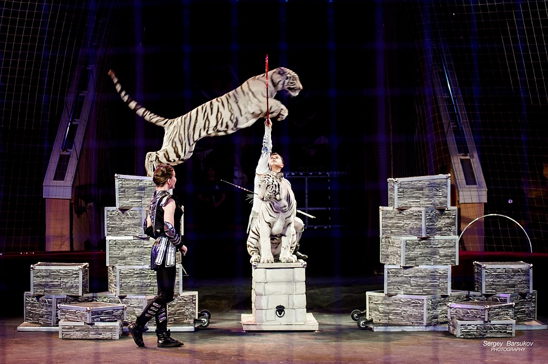 Новосибирский цирк представляет новое «Белое шоу»