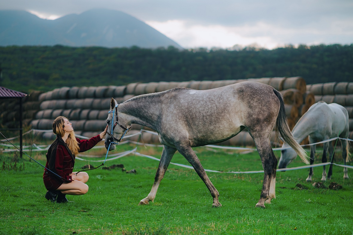 Фото: РБК Юг, Роман Благов