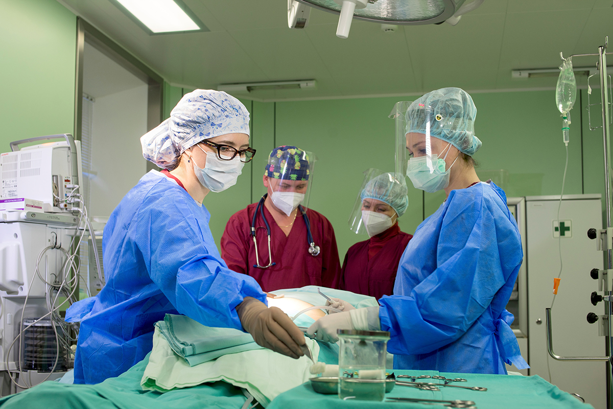 От подготовки до реабилитации: новый стандарт пластических операций