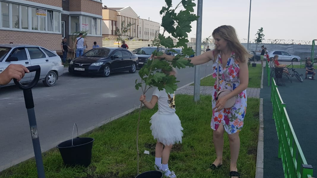 Компания АСК провела акцию «Посади дерево в своем дворе»