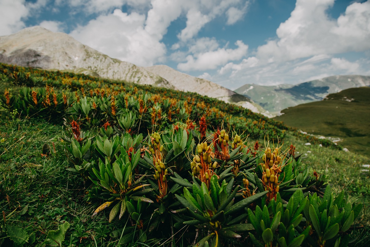 фото: Максим Гордышев