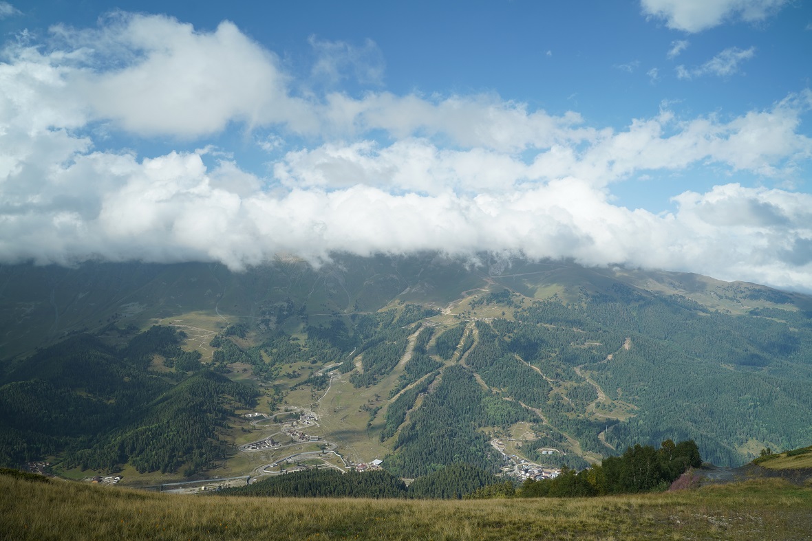Фото: РБК Юг, Антон Беднаржик