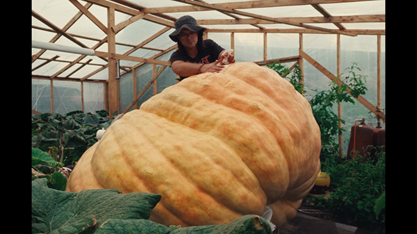 Фестиваль документального кино Beat Weekend пройдет в Нижнем Новгороде