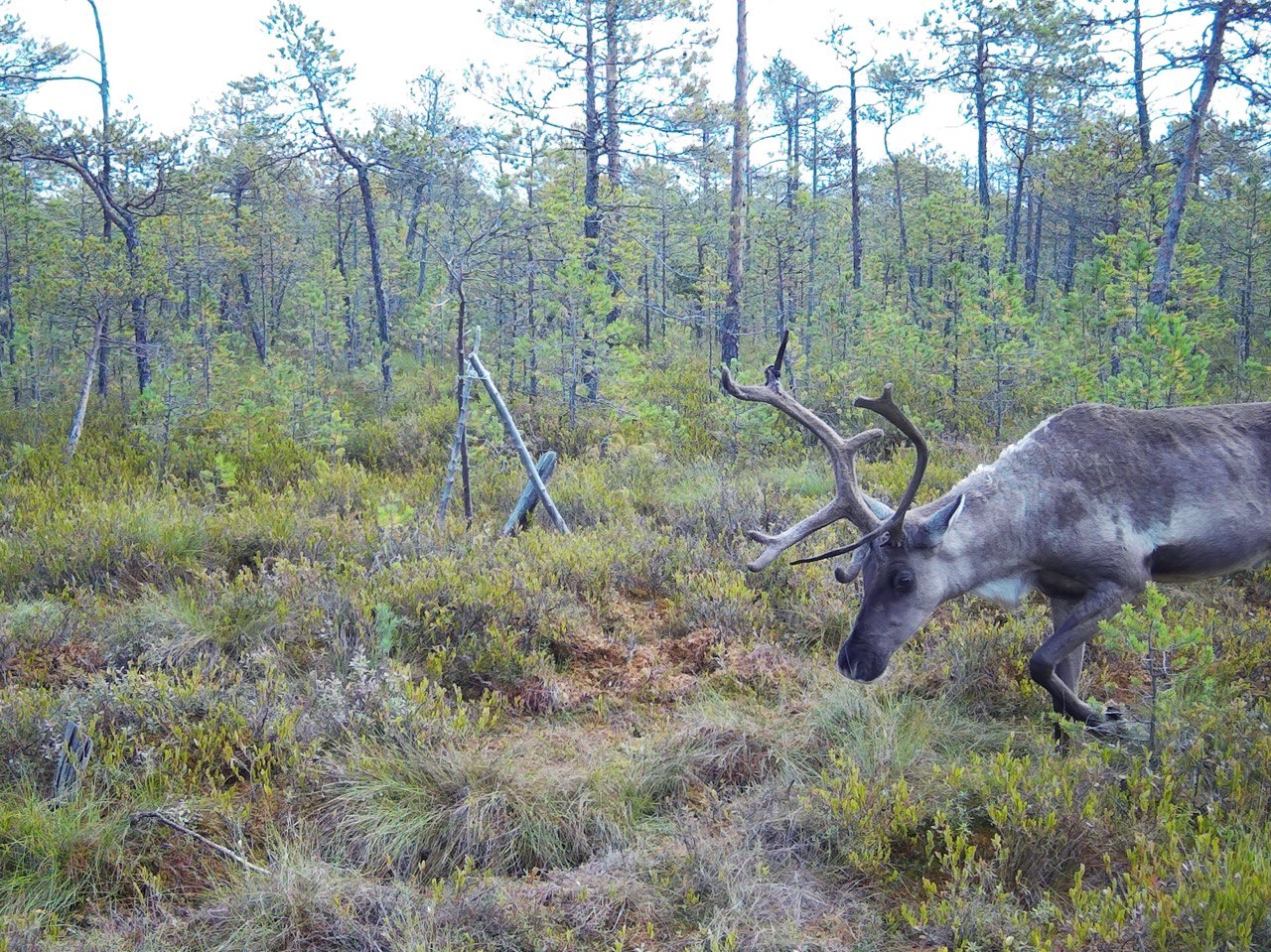 Фото: Владимир Капитонов