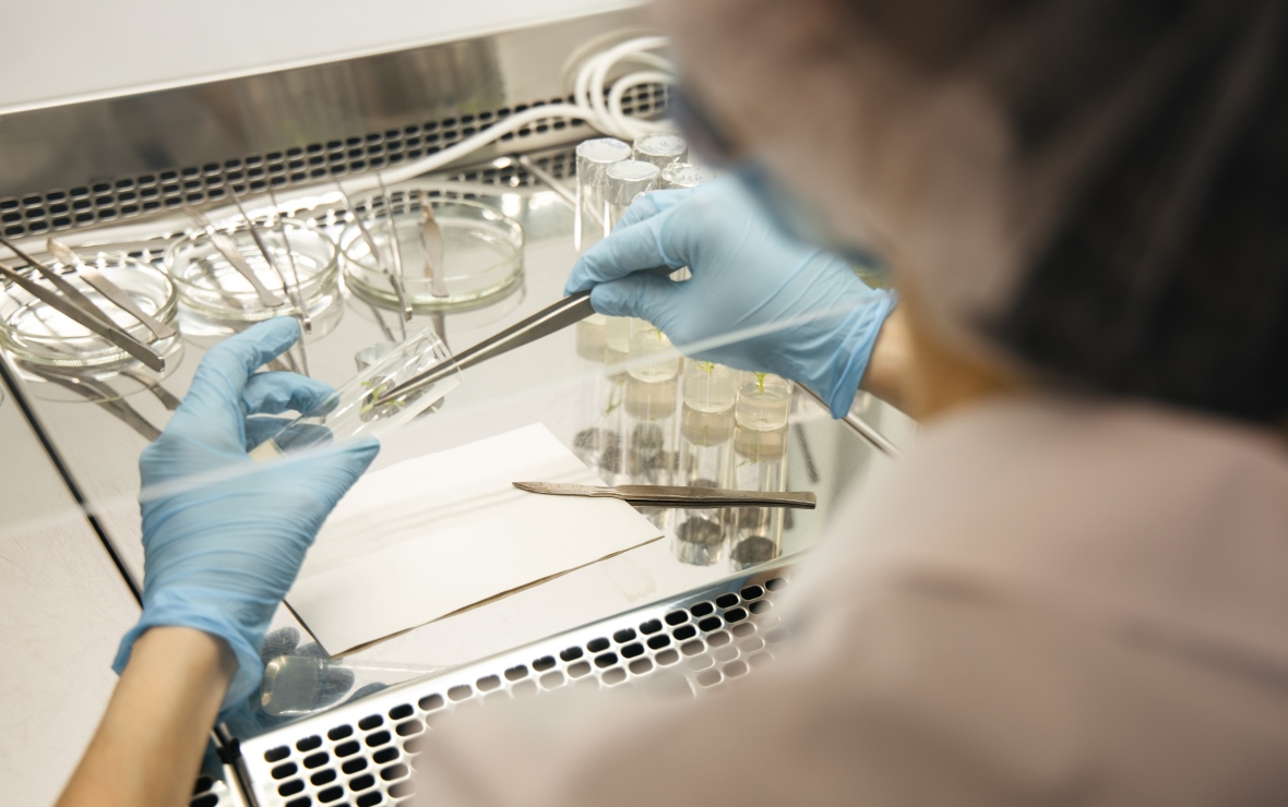 Фото: пресс-служба «СоюзСемСвекла»