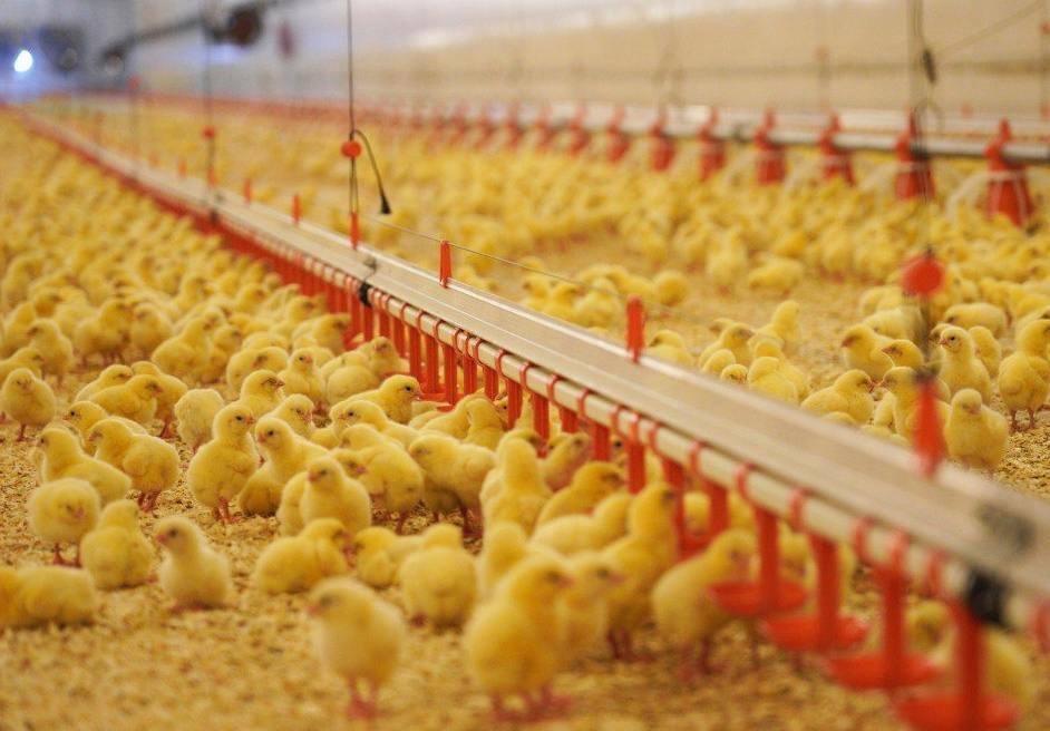 Кто сегодня нужен производству и что компании предлагают кадрам