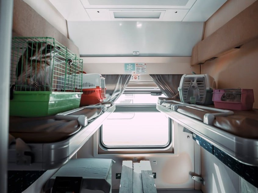 Более 2,6 тыс. питомцев без сопровождения владельцев перевезено на ГЖД