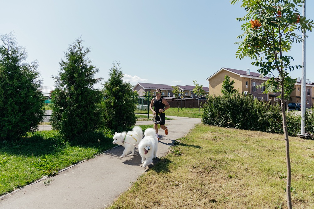 Почему переезд за город меняет жизнь не только людей, но и животных