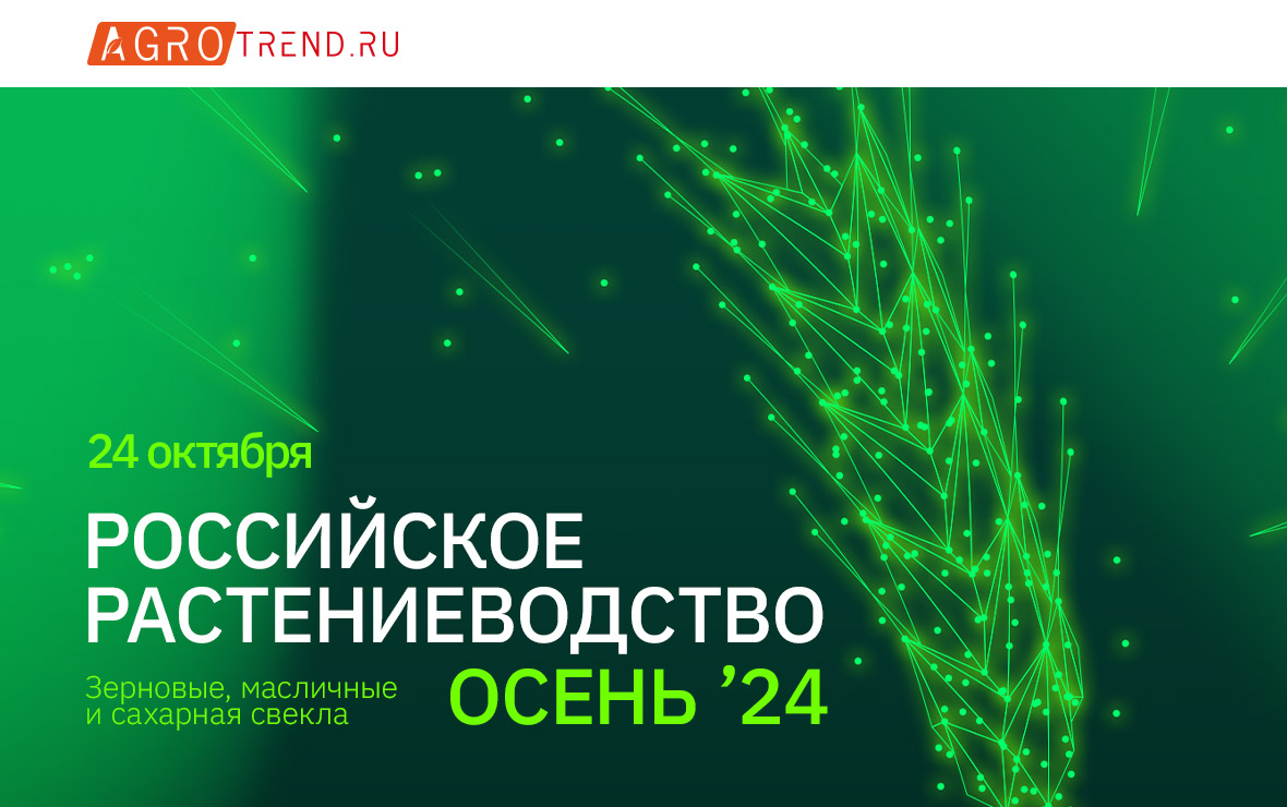 Изображение: пресс-служба ООО Бизнес-Тренд