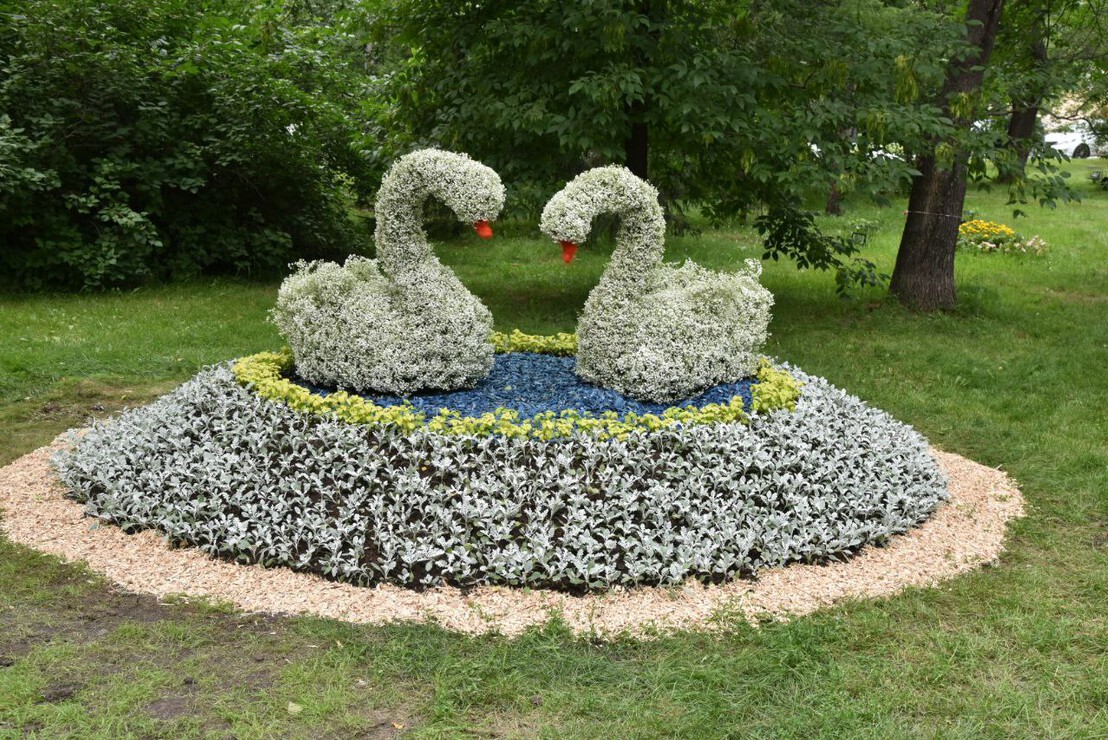 Фото: пресс-служба Администрации города Омска