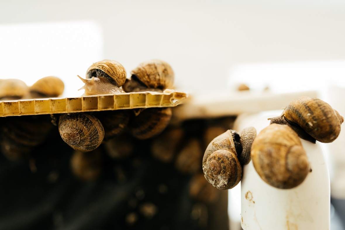 Фото: Александр Саенко