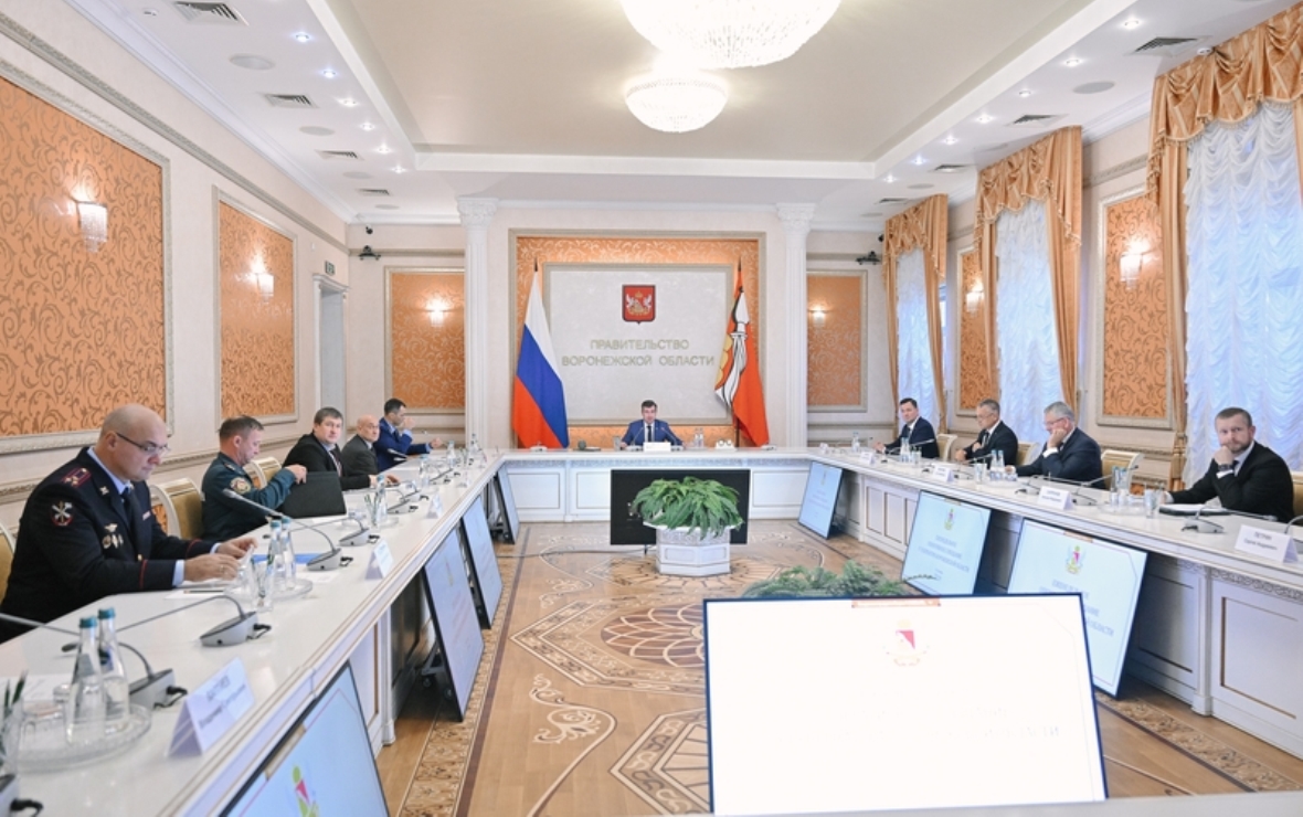 Фото: пресс-служба правительства Воронежской области