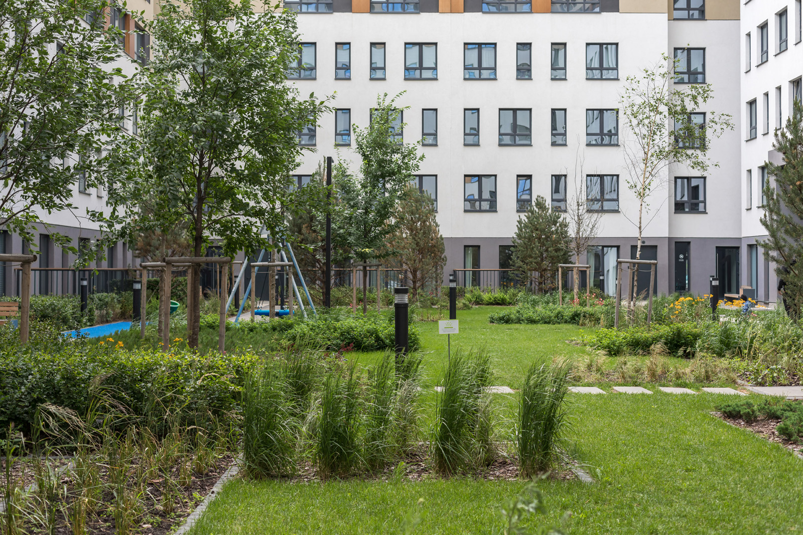 Жить рядом с лесопарком: новый масштабный проект в Заельцовском районе