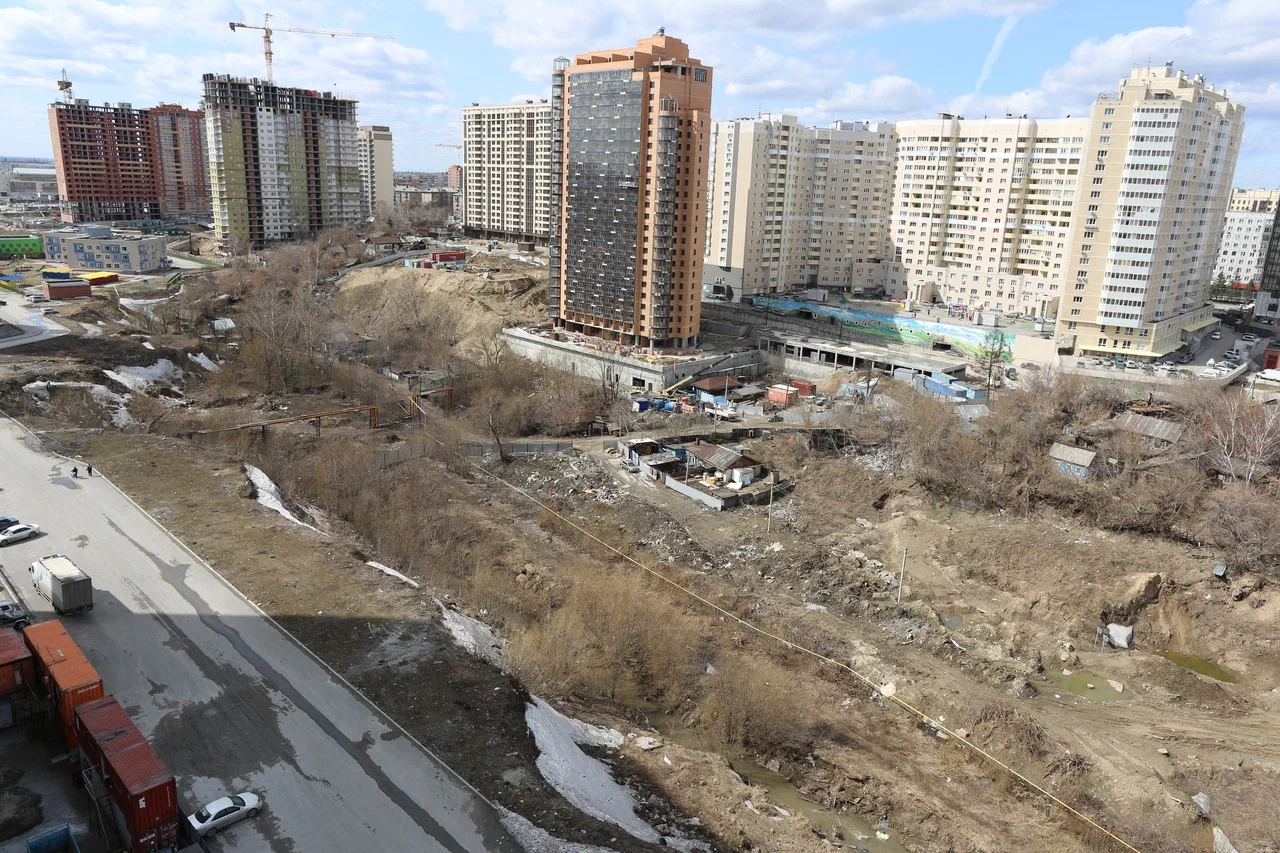 Пойма реки Ельцовка-1, 2018 год