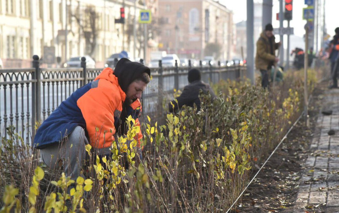 Фото: Сергей Сапоцкий
