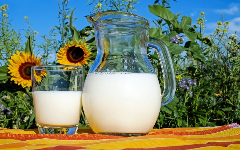 Адыгея вошла в число регионов-лидеров по качеству производства молока