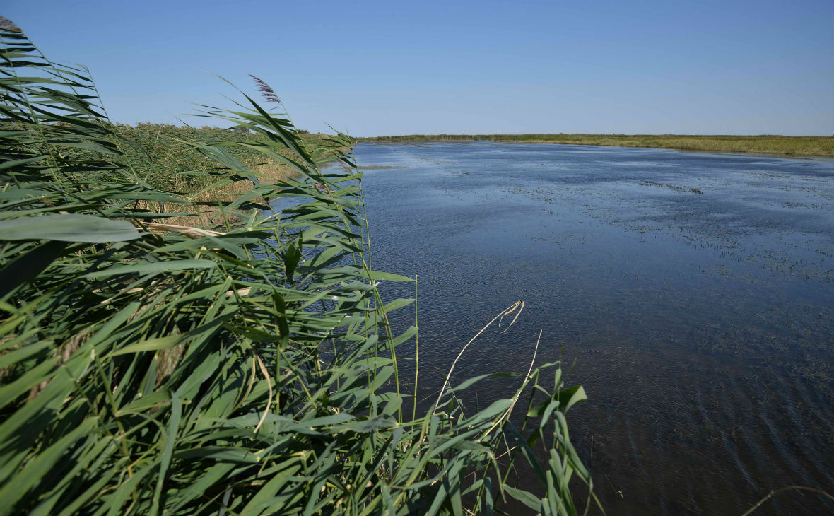 Ростовская АЭС: В Цимлянское водохранилище выпущено почти 2 млн мальков