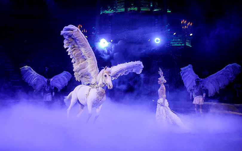 «Королевский цирк» в Краснодаре: новое шоу Гии Эрадзе